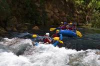 Private Rio Bueno River Adventure from Montego Bay