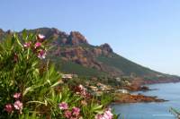 Private Round-Trip Transfer from Saint-Raphael to Bagnols en Foret