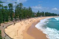 Private Sydney City Sightseeing Day Tour Including Sydney Opera House and the Northern Beaches
