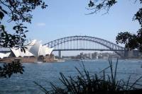 Private Sydney Half-Day Sightseeing Tour Including Sydney Opera House Harbour Bridge and Bondi Beach