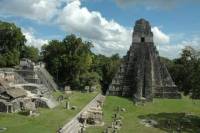 Private Tikal Maya City Tour Including Lunch