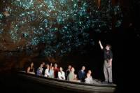 Private Tour: 4-Day North Island Highlights Tour including Waitomo Caves and Hobbiton