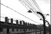 Private Tour: Auschwitz-Birkenau Tour from Krakow