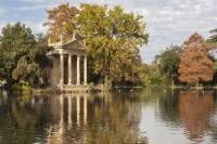 Private Tour: Borghese Gallery and Baroque Rome Art History Walking Tour