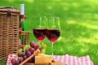 Private Tour: Cape Winelands Tour from Cape Town