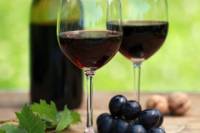 Private Tour: Castelli Romani Day Trip from Rome Including Wine Tasting