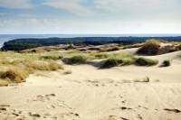Private Tour: Curonian Spit National Park Day Trip from Vilnius