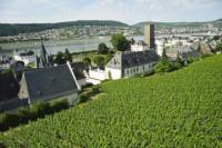 Private Tour: Customizable Rhine Valley Day Trip from Frankfurt