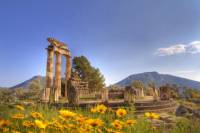 Private Tour: Delphi Day Trip from Athens Including Lunch