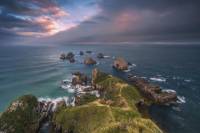 Private Tour: Dunedin to the Catlins