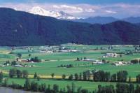 Private Tour: Fraser Valley Wine Tasting Tour