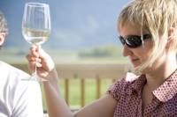 Private Tour: Fraser Valley Wine Tour in Vancouver