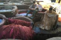 Private Tour: Guided Walking Tour in Fez