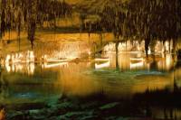 Private Tour: Mallorca Caves of Drach and Majorica Pearl Factory