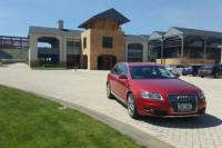 Private Tour: Napier Hawkes Bay Premium Wine Tour with Lunch