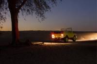 Private Tour: Night Desert Luxury Safari with Transport from Dubai