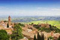 Private Tour: Orcia Valley to Montalcino and Montepulcaino with Brunello Wine Tasting
