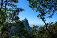 Private Tour: Santa Teresa and Tijuca Forest Photo Tour