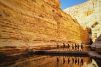 Private Tour:The highlights of the Negev From Tel-Aviv