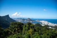 Private Tour: Tijuca National Park Photography Tour