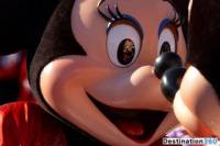 Private Transfer: Disneyland Resort Paris