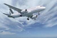 Private Transfer from Sheikh Hussein to Aqaba Airport