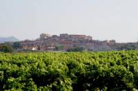Private Transfer from Toulon Hyeres Airport to Puget sur Argens