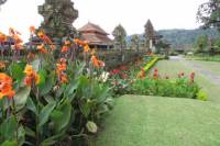 Private Ubud Tour