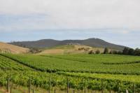 Private Yarra Valley Day Trip from Melbourne