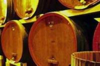 Provence Wine Tasting Small Group Day Trip from Avignon