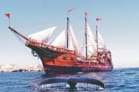 Puerto Vallarta Shore Excursion: Banderas Bay Pirate Sailing Cruise