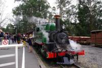Puffing Billy Train With Optional Penguin Parade or Melbourne City Tour