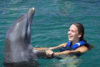Punta Cana Explorer Dolphin Swim