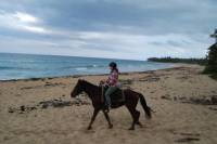 Punta Cana Horseback Riding on the Beach