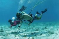 Punta Cana Party Cruise with Hooka Diving and Snorkeling