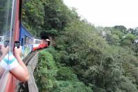 Rail Tour from Curitiba to Morrete