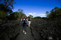 Rangitoto Island Tour from Auckland