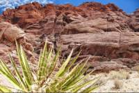 Red Rock Canyon Tour