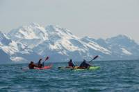 Resurrection Bay Sea Kayaking Tour