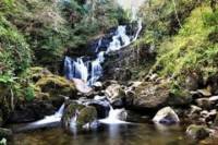 Ring of Kerry Day Tour from Limerick Including Torc Waterfall