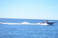 Ringo Boat Ride from Vilamoura