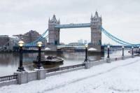 River Thames Christmas Cruise with Lunch or Afternoon Tea