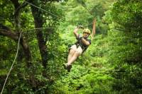 Roatan Shore Excursion: Extreme Zipline Canopy Adventure