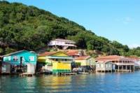 Roatan Shore Excursion: Mangrove Cruise
