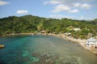 Roatan Shore Excursion: Oak Mountain Trail Hike