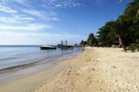 Roatan Shore Excursion: Small-Group Snorkeling Tour and Private Beach Access