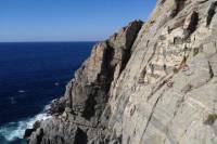 Rock Climbing Adventure in Todos Santos