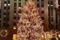 Rockefeller Center Christmas Tree-Lighting Party