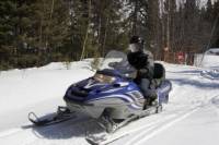Rocky Mountains Snowmobile Tour: Backcountry Adventure