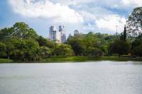 São Paulo Private Tour from Santos Cruise Terminal